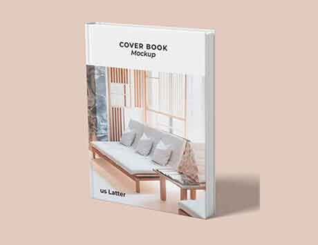 DDOS网页端软件网络安全